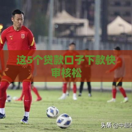 这5个贷款口子下款快审核松