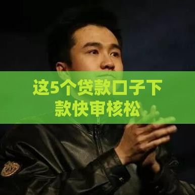 这5个贷款口子下款快审核松