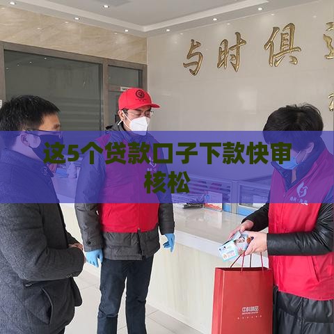 这5个贷款口子下款快审核松