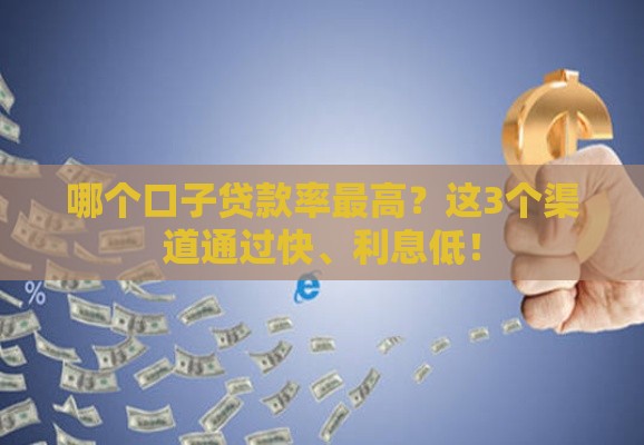哪个口子贷款率最高？这3个渠道通过快、利息低！