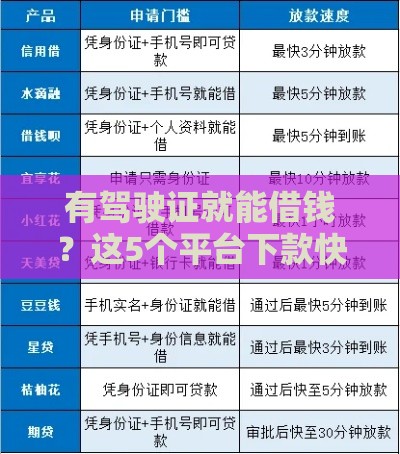 有驾驶证就能借钱？这5个平台下款快利息低！