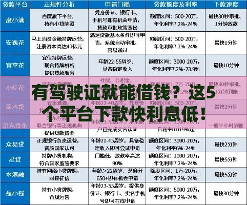 有驾驶证就能借钱？这5个平台下款快利息低！
