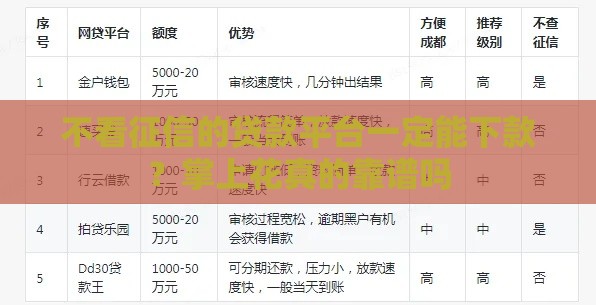 不看征信的贷款平台一定能下款？掌上花真的靠谱吗