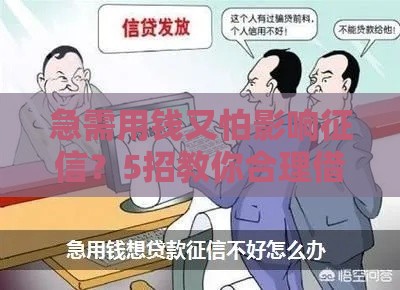 急需用钱又怕影响征信？5招教你合理借款不伤信用