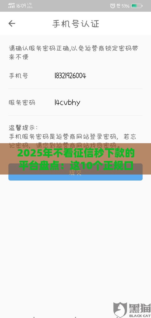 2025年不看征信秒下款的平台盘点：这10个正规口子最快当天到账
