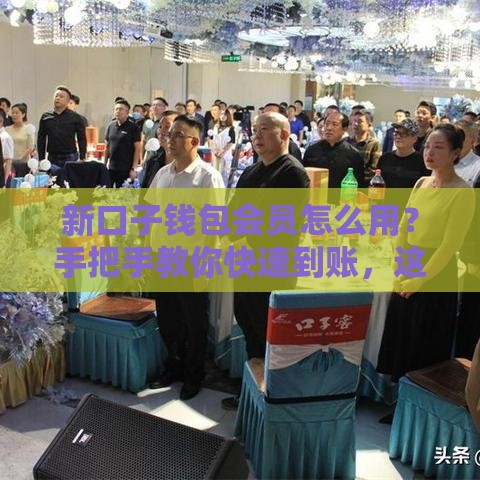 新口子钱包会员怎么用？手把手教你快速到账，这些技巧别错过！