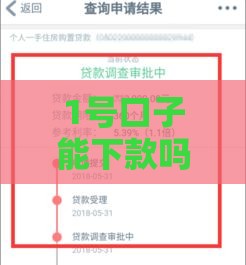 1号口子能下款吗？实测经验+避坑指南 看完这篇再申请！