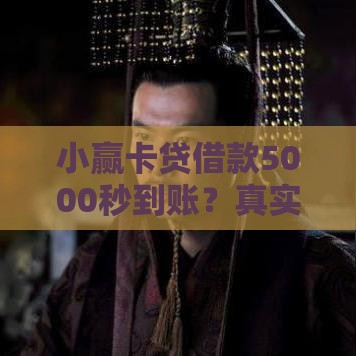 小赢卡贷借款5000秒到账？真实审核流程全解析