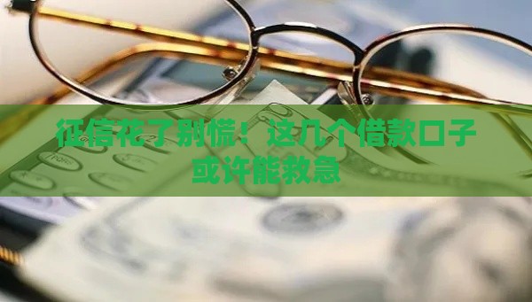 征信花了别慌！这几个借款口子或许能救急