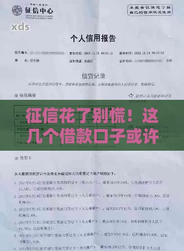征信花了别慌！这几个借款口子或许能救急