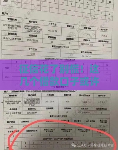 征信花了别慌！这几个借款口子或许能救急