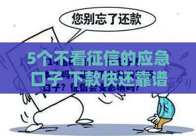 5个不看征信的应急口子 下款快还靠谱