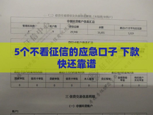 5个不看征信的应急口子 下款快还靠谱