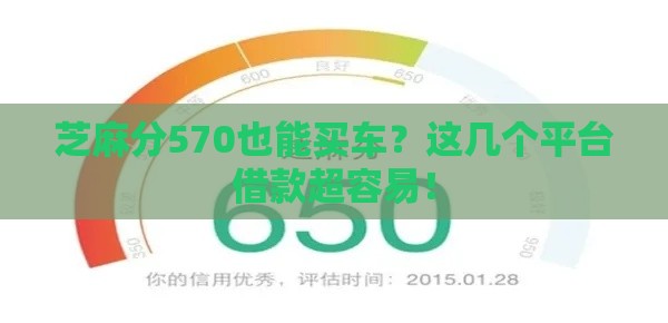 芝麻分570也能买车？这几个平台借款超容易！