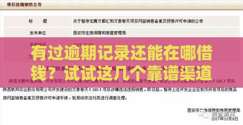 有过逾期记录还能在哪借钱？试试这几个靠谱渠道！