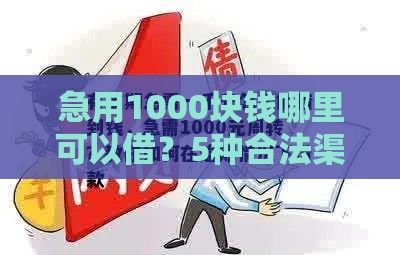 急用1000块钱哪里可以借？5种合法渠道快速到账攻略