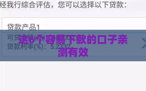 这6个容易下款的口子亲测有效