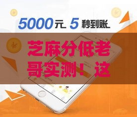 芝麻分低老哥实测！这5个口子亲测好下款