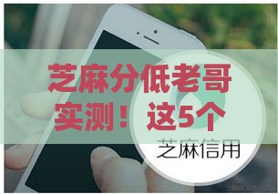 芝麻分低老哥实测！这5个口子亲测好下款