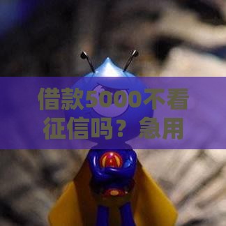 借款5000不看征信吗？急用钱必看的5个速审渠道攻略！