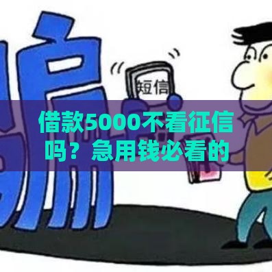 借款5000不看征信吗？急用钱必看的5个速审渠道攻略！