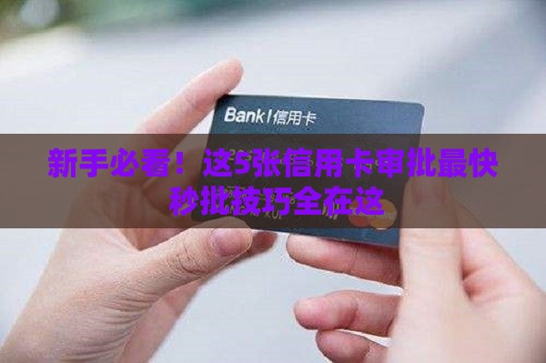 新手必看！这5张信用卡审批最快 秒批技巧全在这