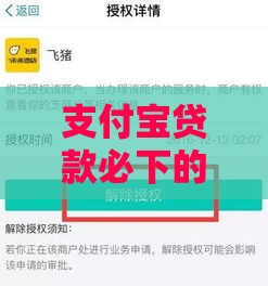 支付宝贷款必下的口子有哪些？这5个实用技巧助你快速到账！
