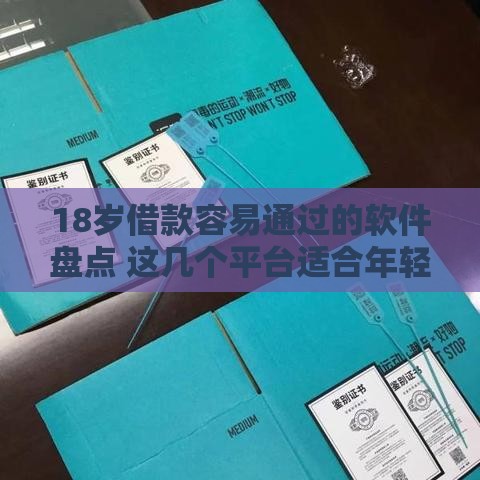 18岁借款容易通过的软件盘点 这几个平台适合年轻人申请
