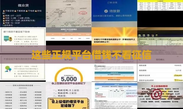 这些正规平台借钱不看征信