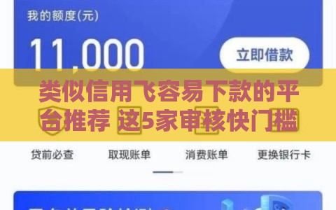 类似信用飞容易下款的平台推荐 这5家审核快门槛低