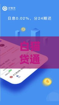 白猫贷通过率高吗？真实审批率与申请技巧解析