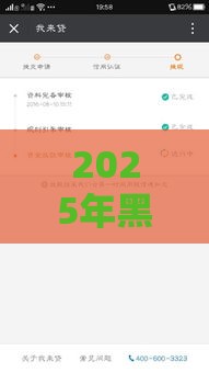 2025年黑户也能下款？这5个平台审核宽松+放款快