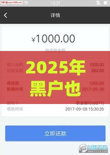 2025年黑户也能下款？这5个平台审核宽松+放款快