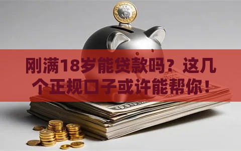 刚满18岁能贷款吗？这几个正规口子或许能帮你！