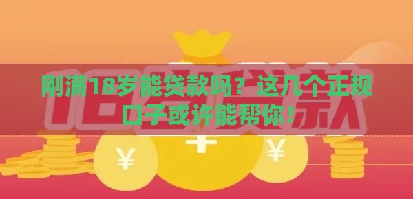 刚满18岁能贷款吗？这几个正规口子或许能帮你！