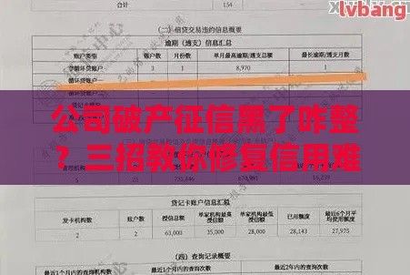 公司破产征信黑了咋整？三招教你修复信用难题