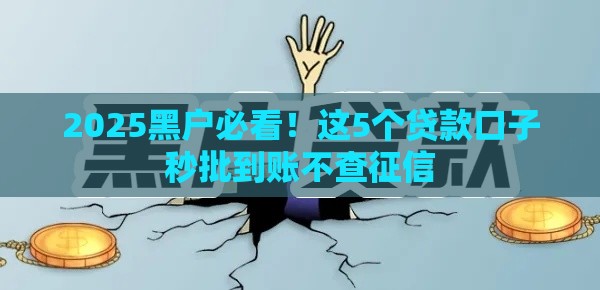 2025黑户必看！这5个贷款口子秒批到账不查征信