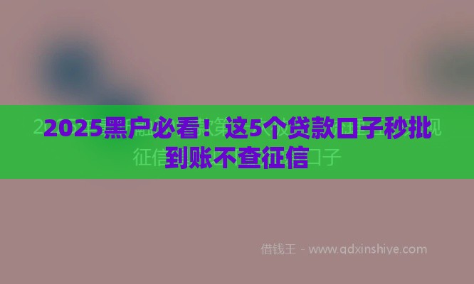 2025黑户必看！这5个贷款口子秒批到账不查征信