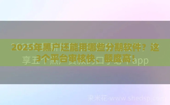 2025年黑户还能用哪些分期软件？这3个平台审核快、额度高！