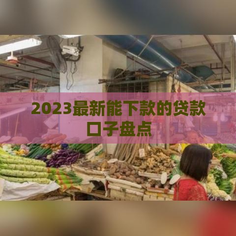2023最新能下款的贷款口子盘点