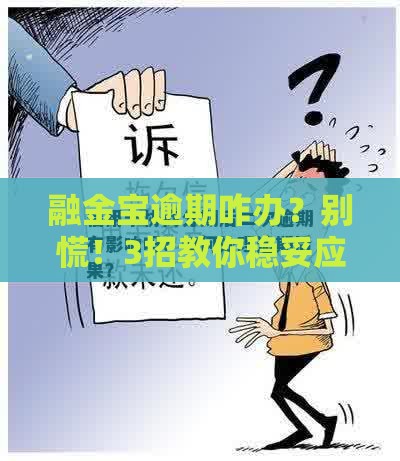 融金宝逾期咋办？别慌！3招教你稳妥应对信用危机