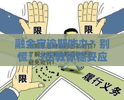 融金宝逾期咋办？别慌！3招教你稳妥应对信用危机