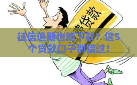 征信逾期也能下款？这5个贷款口子别错过！