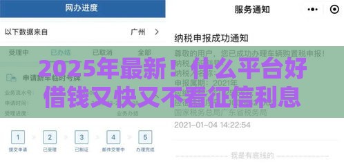 2025年最新！什么平台好借钱又快又不看征信利息低？急用钱的看过来