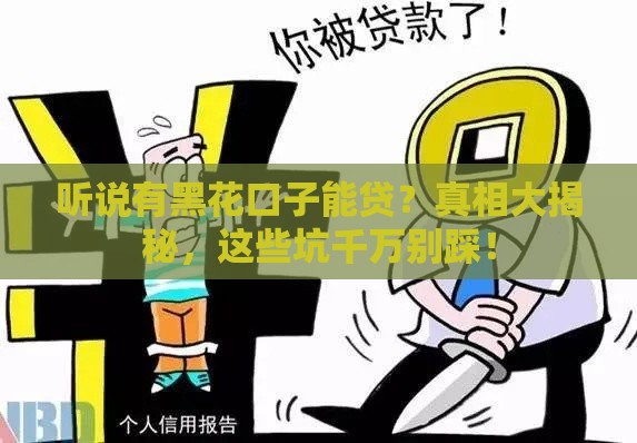 听说有黑花口子能贷？真相大揭秘，这些坑千万别踩！