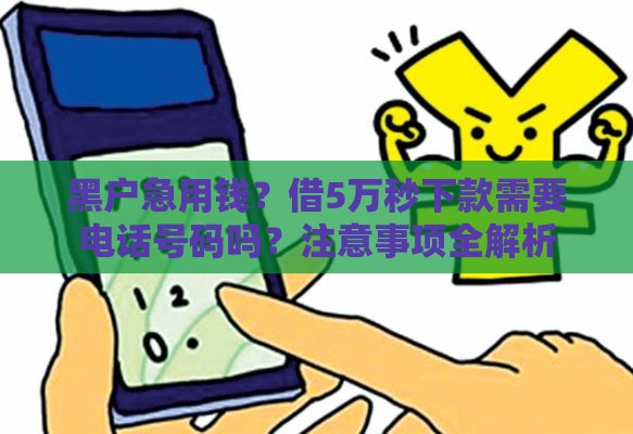 黑户急用钱？借5万秒下款需要电话号码吗？注意事项全解析