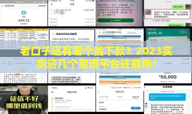 老口子还有哪个能下款？2023实测这几个靠谱平台还能用！