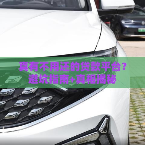 真有不用还的贷款平台？避坑指南+真相揭秘