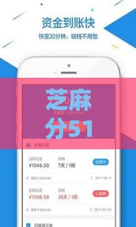 芝麻分510急用钱？实测5个快速借款通道