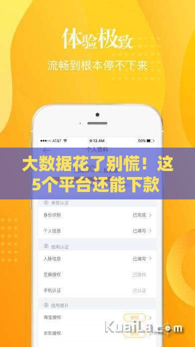 大数据花了别慌！这5个平台还能下款 速看攻略